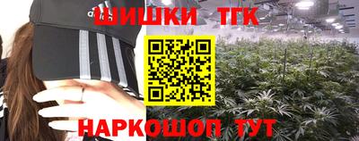 spice Дубна