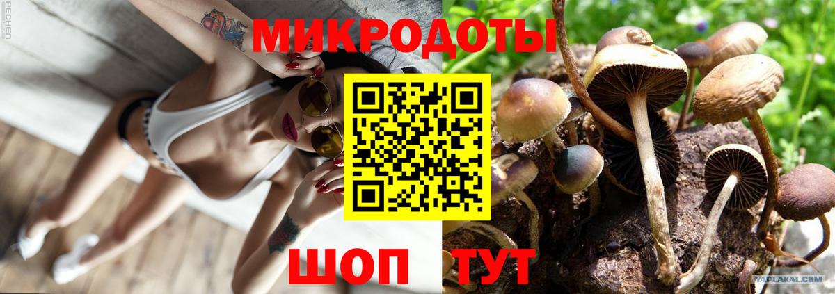 Галлюциногенные грибы ЛСД Саранск