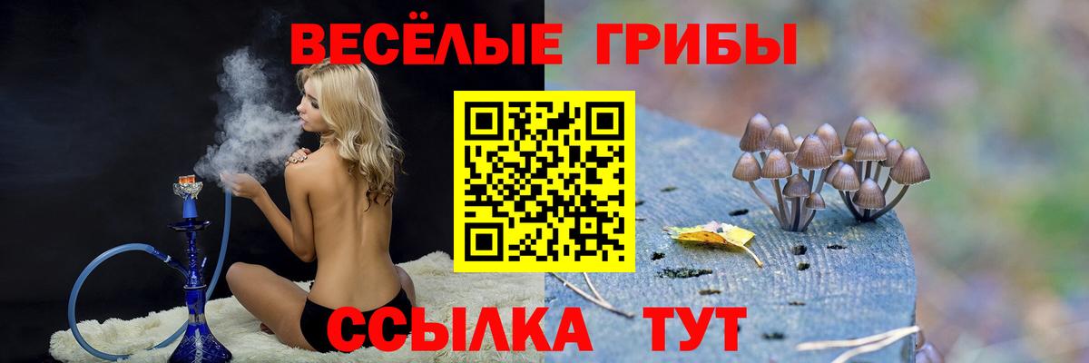Псилоцибиновые грибы Psilocybine cubensis  Галлюциногенные грибы Psilocybe  Саранск  Вход с VPN 